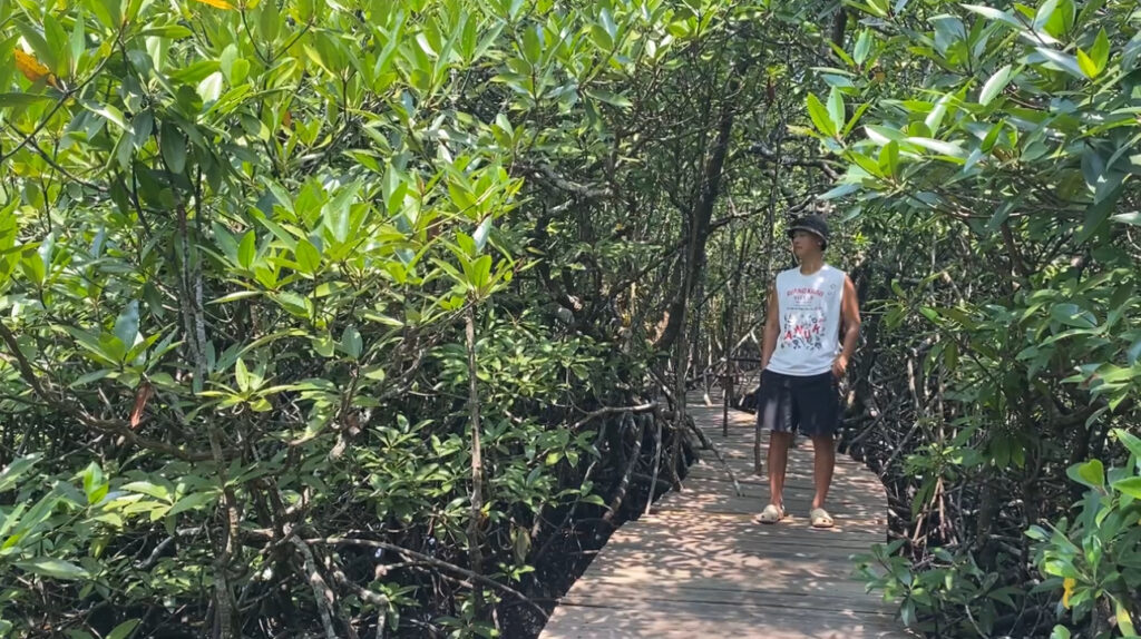 Exploring the Mangrove Forest in Koh Rong, Cambodia