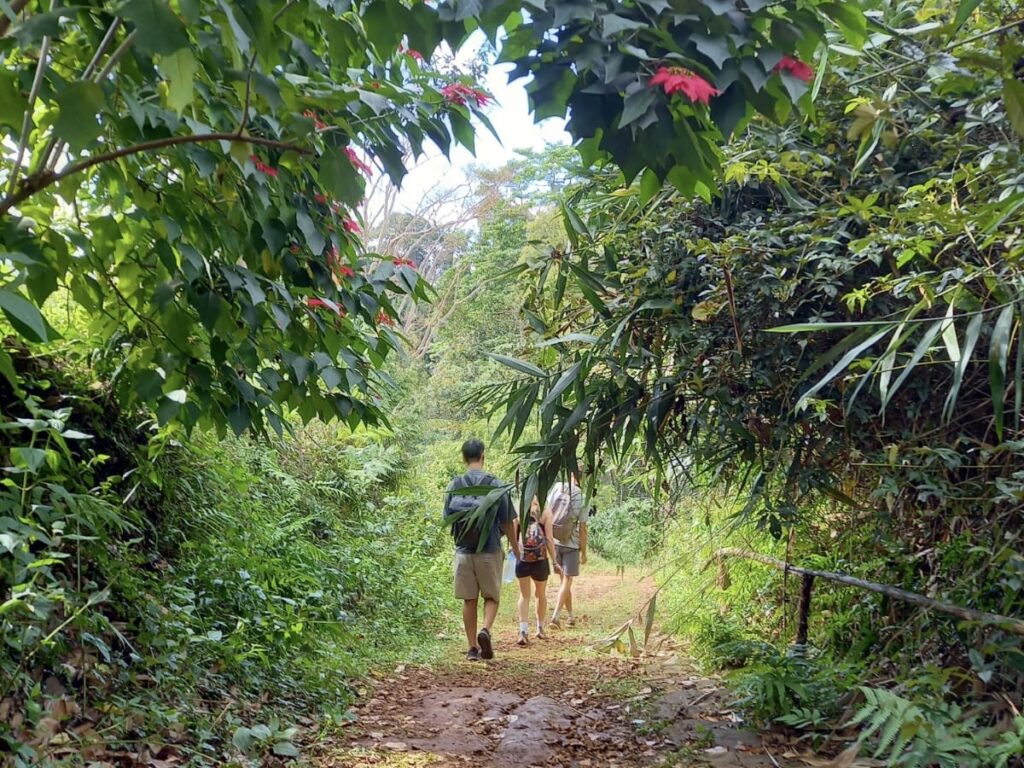 Exploring the hidden gems on the Pakse Loop, Laos